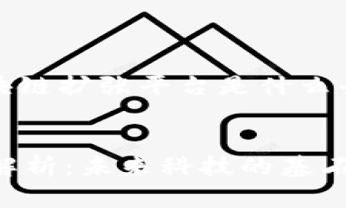 好的，这里是针对“区块链扩张平台是什么平台”的相关内容架构。


区块链扩张平台深度解析：未来科技的基石