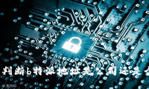 如何判断b特派地址是公司还是个人？