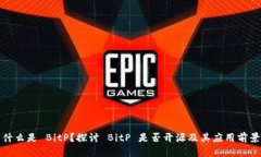什么是 BitP？探讨 BitP 是否