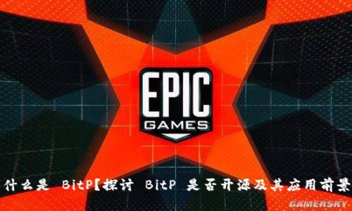 什么是 BitP？探讨 BitP 是否开源及其应用前景
