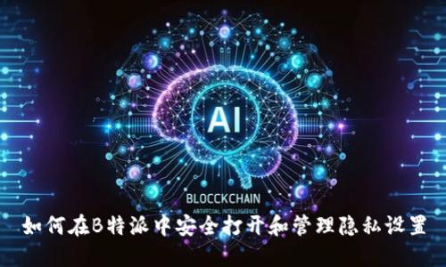 如何在B特派中安全打开和管理隐私设置
