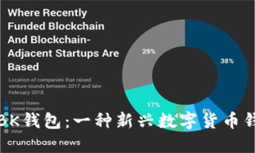 全面解读BK钱包：一种新兴数字货币钱包的未来