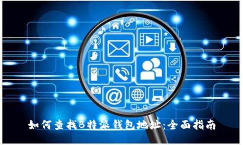 如何查找B特派钱包地址：全面指南