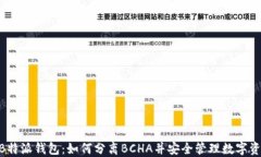 MB特派钱包：如何分离BC