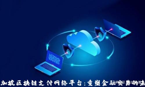 
新加坡区块链支付网络平台：重塑金融交易的未来