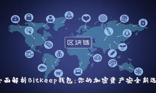  全面解析BitKeep钱包：你的加密资产安全新选择
