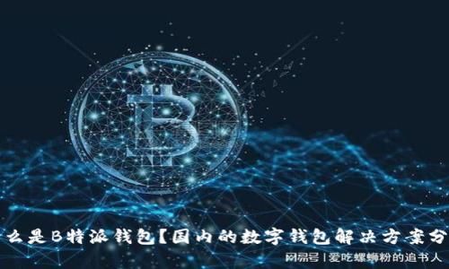 什么是B特派钱包？国内的数字钱包解决方案分析