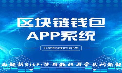 全面解析BitP：使用教程与常见问题解答