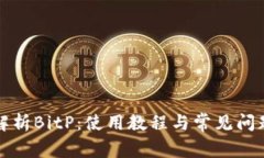 全面解析BitP：使用教程与