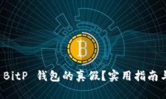 怎样分辨 BitP 钱包的真假