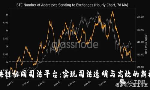区块链协同司法平台：实现司法透明与高效的新模式