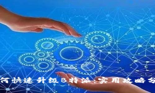 如何快速升级B特派：实用攻略分享