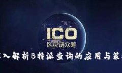 深入解析B特派查询的应用