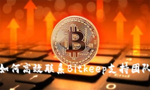 如何高效联系Bitkeep支持团队