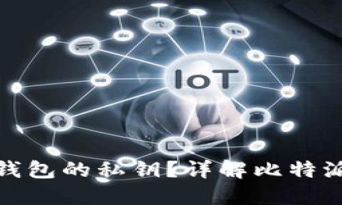 : 如何查看比特派钱包的私钥？详解比特派安全性与使用技巧