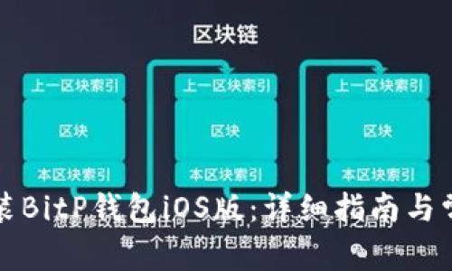 如何下载安装BitP钱包iOS版：详细指南与常见问题解答