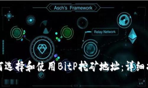 如何选择和使用BitP挖矿地址：详细指南