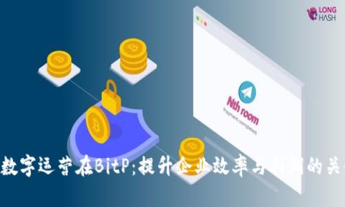kiaoti数字运营在BitP：提升企业效率与利润的关键策略