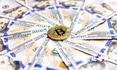 区块链政府平台：推动政