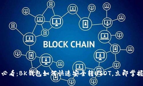 2025必看：BK钱包如何快速安全转USDT，立即掌握技巧!