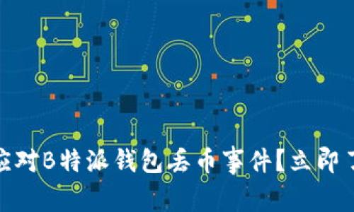 2025必看：如何应对B特派钱包丢币事件？立即了解保护你的资产