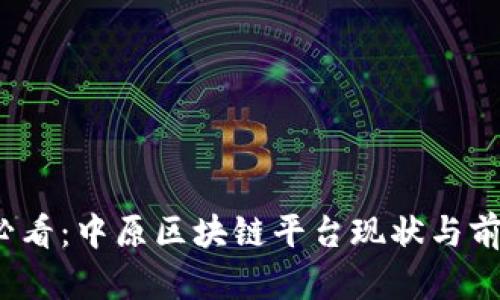 2025必看：中原区块链平台现状与前景分析