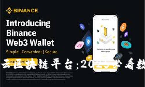 立即了解阿里云区块链平台：2025必看数字化转型利器