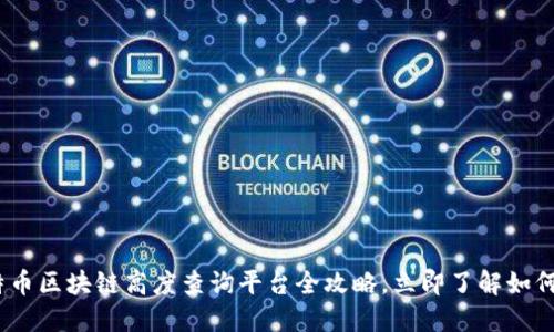 2025必看：莱特币区块链高度查询平台全攻略，立即了解如何获得实时数据！