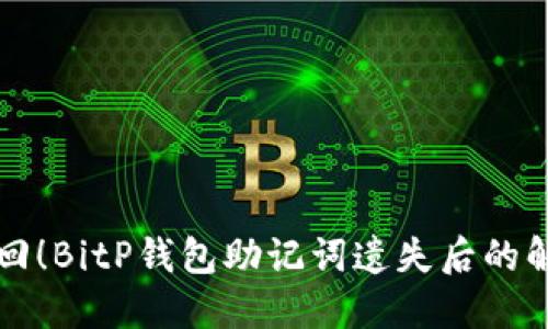 立即找回！BitP钱包助记词遗失后的解决方案