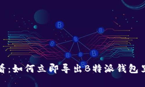 2025必看：如何立即导出B特派钱包里的资产？