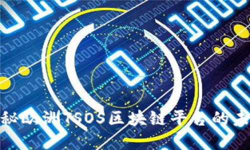 2025必看：揭秘欧洲TSOS区块链平台的未来发展与潜力