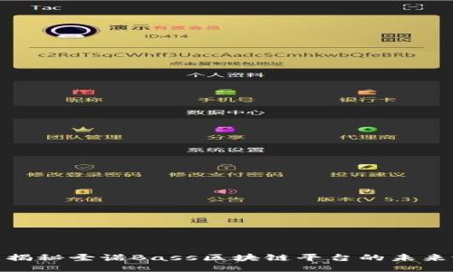 2025必看：揭秘圣诺Bass区块链平台的未来潜力与应用