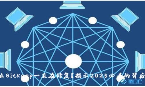 为什么BitKeep一直在修复？揭示2025必看的背后真相！