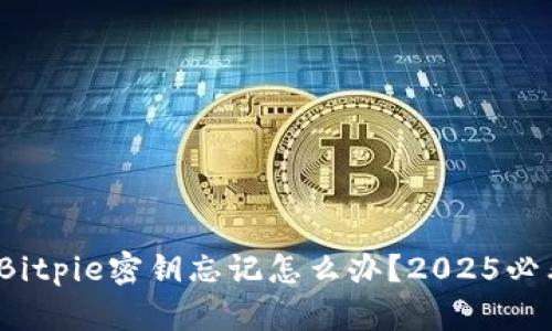 立即恢复！Bitpie密钥忘记怎么办？2025必看解决方案