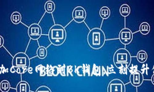 2025必看：如何快速添加Core网络到BK钱包，立刻提升你的数字资产管理能力！