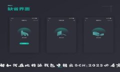 立即了解如何在比特派钱
