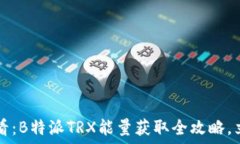   “2025必看：B特派TRX能量