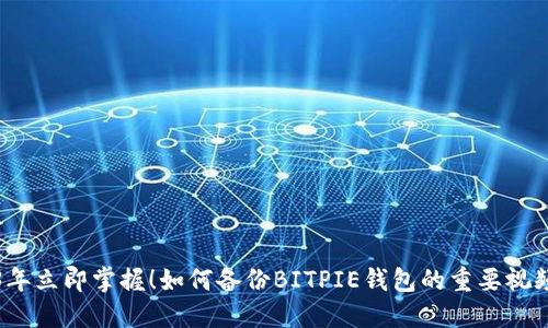 2023年立即掌握！如何备份BITPIE钱包的重要视频指南