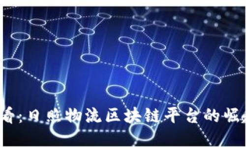 2025必看：日照物流区块链平台的崛起与未来