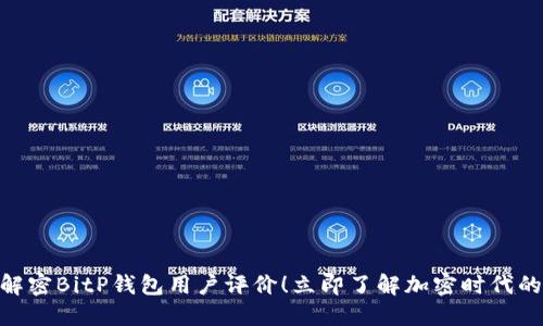 2025必看：解密BitP钱包用户评价！立即了解加密时代的安全新选择
