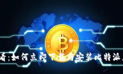 2025必看：如何立即下载与安装比特派正版软件