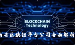 2025必看：湖南省区块链平