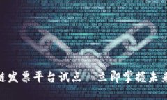 2025必看：区块链发票平台