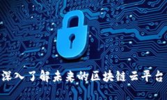 2025必看：深入了解未来的区块链云平台——机智