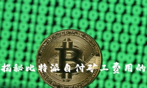 2025必看！揭秘比特派自付矿工费用的策略与技巧