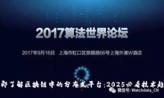 立即了解区块链中的分布式平台：2025必看技术趋