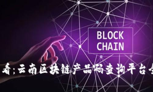 2025必看：云南区块链产品码查询平台全面解析