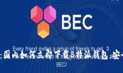 2025必看：国内如何立即下