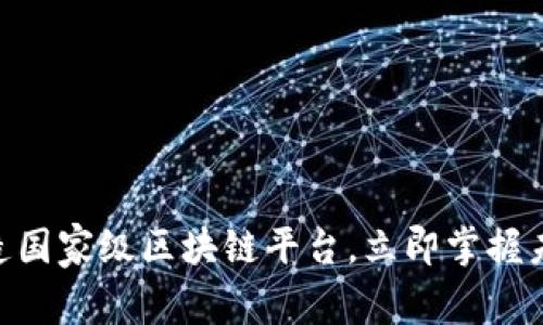 2025必看：如何打造国家级区块链平台，立即掌握未来科技的核心所在