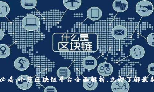 2025必看：小葱区块链平台全面解析，立即了解最新动态！